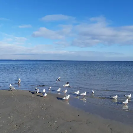 Krabbe 1 Schmiedeberg Timmendorfer Niendorf Ferienhaus *